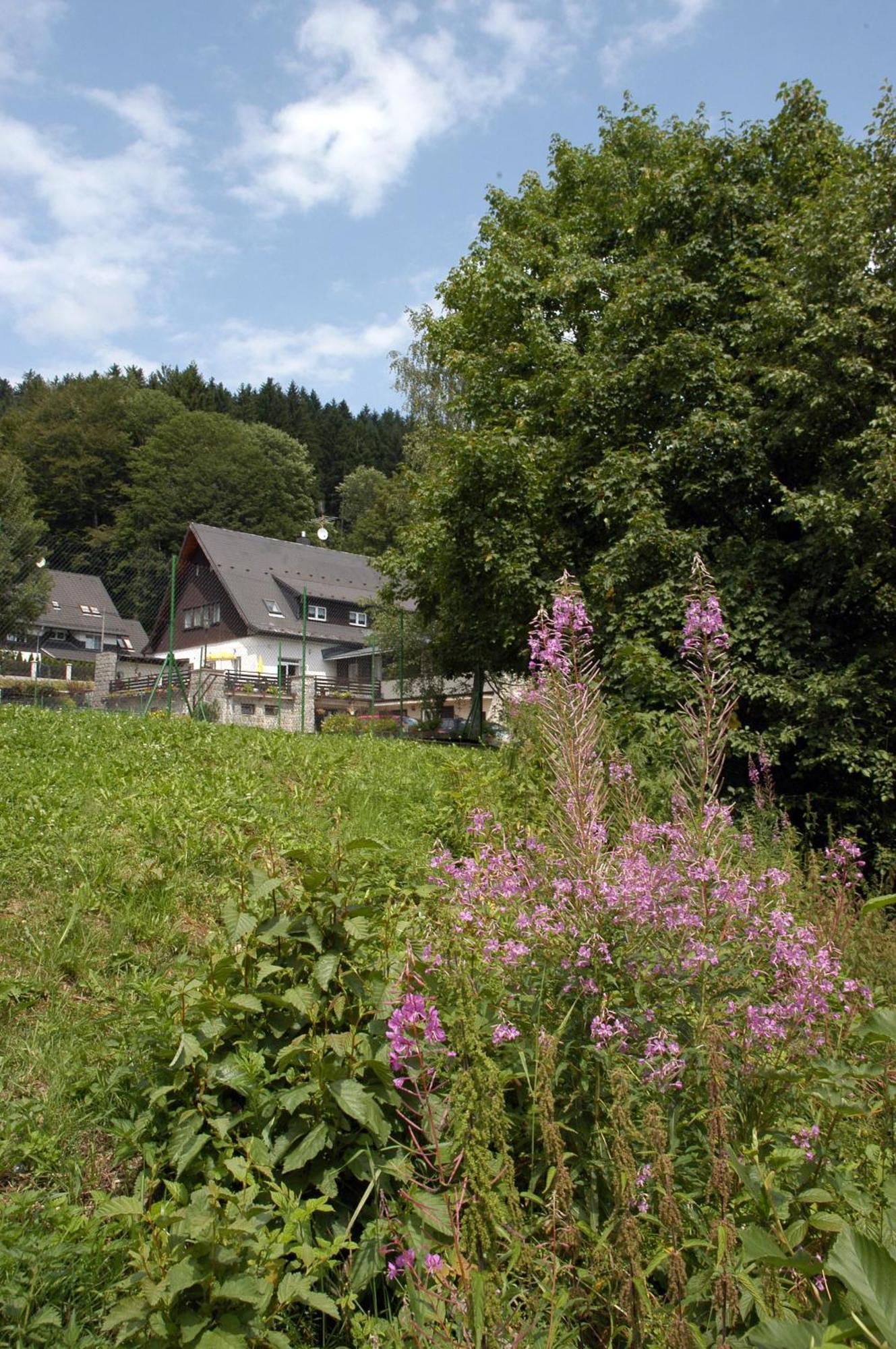 Penzion Bobesova Bouda Železná Ruda Buitenkant foto